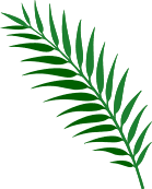 palm-leaf-1 palm-leaf-1
