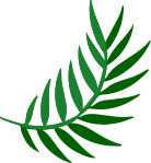 palm-leaf-2 palm-leaf-2
