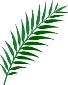 "Close-up of an areca palm leaf, showcasing the natural texture and quality of materials used in True Nature Wares' plates."