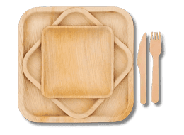 "Variety of eco-friendly areca palm leaf plates from True Nature Wares, showcasing sustainable and biodegradable tableware options in Singapore."
